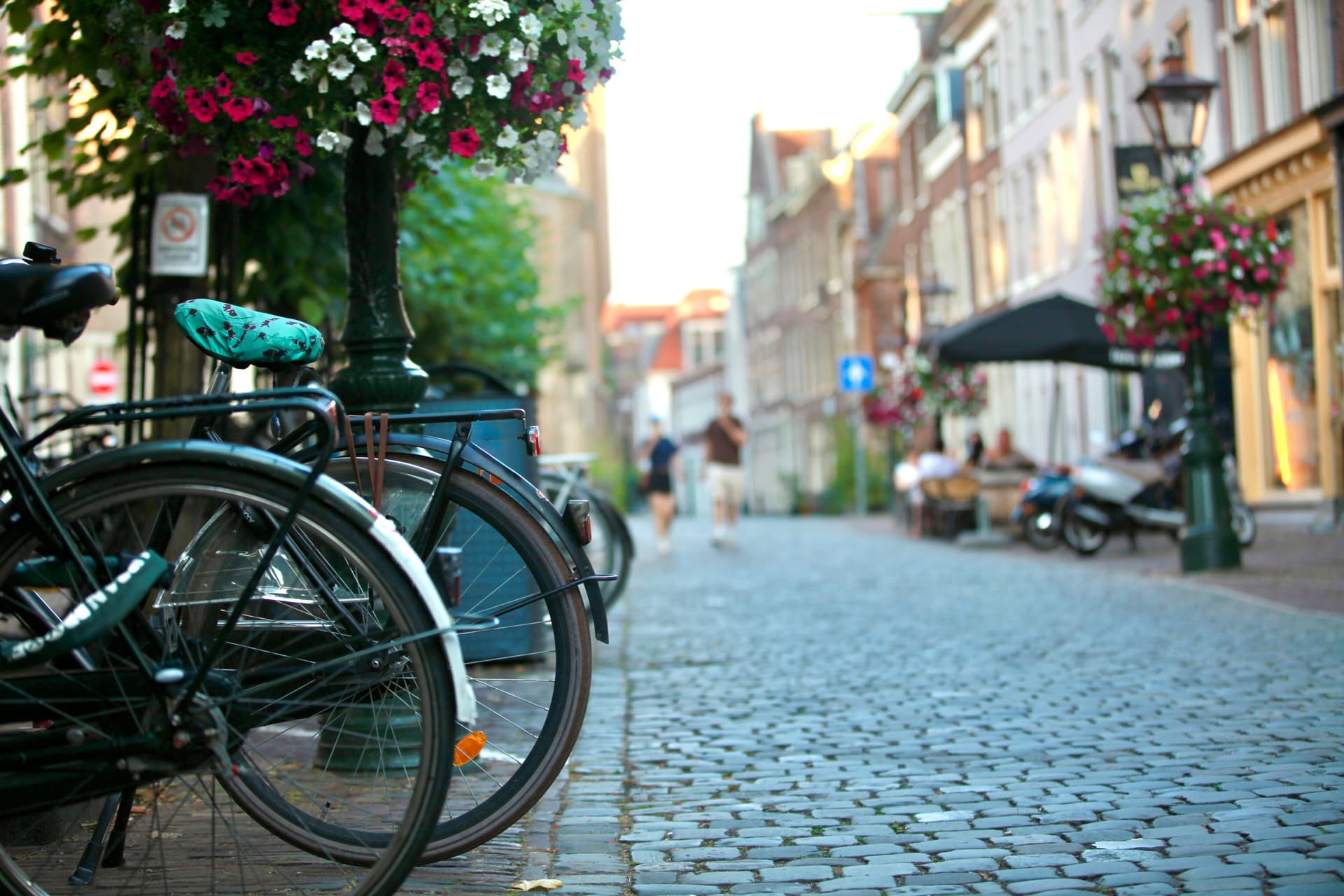 Bicycles, flowers, and cobblestones on a quiet Leiden street
